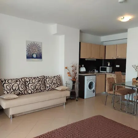 Grand Kamelia * Slăntjev Brjag